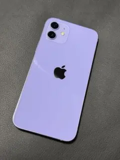 Apple iPhone12 256GB 本体 SIMフリー