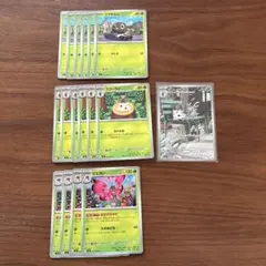 コフーライAR コフキムシ　コフーライ　ビビヨン　進化ライン　まとめ売り