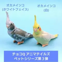 【海洋堂】チョコQ アニマテイルズ ペットシリーズ第３弾 オカメインコ ２種のサムネイル