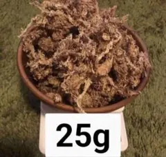 乾燥水苔25gのサムネイル