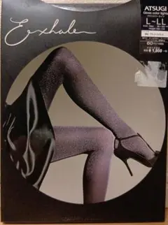ATSUGI Exhale ストッキング L-LL 60デニール