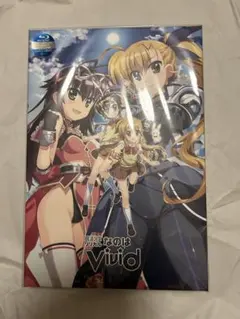 2025年最新】魔法少女リリカルなのはViVid Blu-ray BOX SIDE：ViVioの