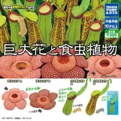 巨大花と食虫植物 ウツボカズラA, B ラフレシア フィギュアのサムネイル