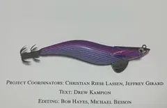 2025年最新】ダートマックス パープルボーダーパープルの人気アイテム