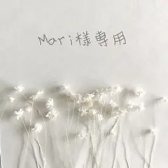 ❁﻿Mari様専用ページ❁﻿