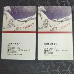 【取引中】ネコママウンテン　スキー場　1日券　×2枚 星野リゾート ネコマ マウンテン リフト1日券（受付期間：2026年1月31