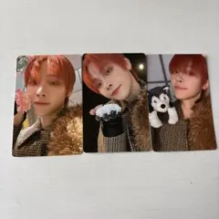 &TEAM NICHOLAS トレカ 3枚セット