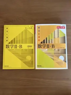 数学Ⅱ+B (解法と演習) 2冊セット