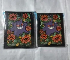 ポケットモンスター ゲンガー コレクションファイル 2セット