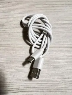 Type-C 充電ケーブル ホワイト 長短セット