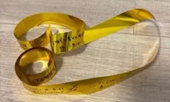 Item thumbnail for item 8ff0e12d-3089-4398-80e6-97855ee362e5