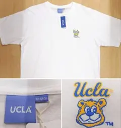 Item thumbnail for item 69dc877c-797b-4c4a-8c3f-2b43ab22827e