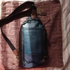 Item thumbnail for item e3d57826-663a-4d5e-ae01-42ef46977bb5