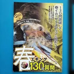 【雑誌付録】春エギング130の質問