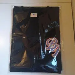 Item thumbnail for item 9643db9c-9740-4116-851c-f897e738f641