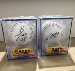 た*ん様 【貴重】元中日ドラゴンズ和田一浩 直筆サイン入りミニチュア