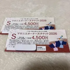 ミンたろ様専用　　マロニエホテル　下呂、湯の山、内海　共通宿泊券　2枚セット