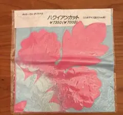 Item thumbnail for item 1b56b18d-1c9d-4385-b23b-3853f389b189