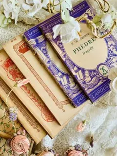 Item thumbnail for item 05336081-b716-45b2-9ecd-f3cf7c70192c