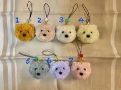 [新作]星のクマさん★