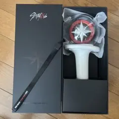 2026年最新】ペンライトポーチ straykidsの人気アイテム - メルカリ