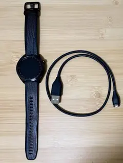 GARMIN Approach S40ブラック本体