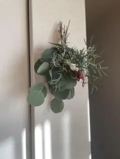 Item thumbnail for item 780b9f89-ba6b-4691-a480-433a41d3870e