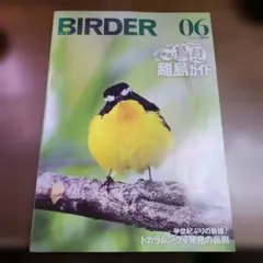BIRDER 2026年6月号 雑誌　鳥見離島ガイド