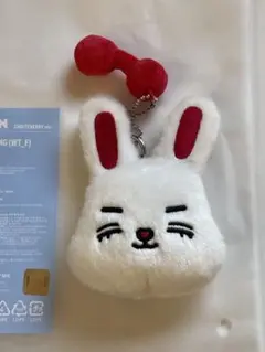 SEVENTEEN miniteen エスクプス　キーリング