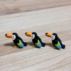 コンコンブル オオハシさん