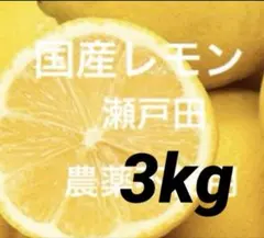 まるもる様専用 農薬不使用レモン 3kg - メルカリ