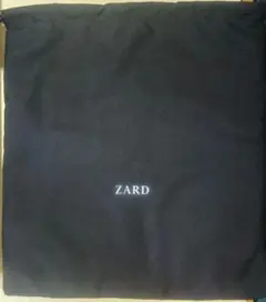 新品☆ZARD35周年ライブパンフレット☆ForeverMoment公式坂井泉水