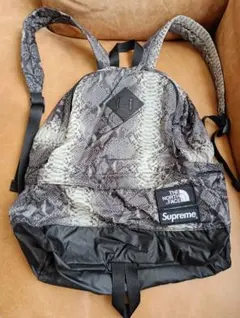 Supreme THE NORTH FACE　スネークリュック