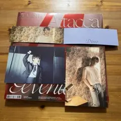 SEVENTEEN attacca ポストカード　セット【ディノ】