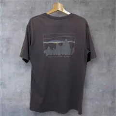 パタゴニア '73 スカイライン オーガニック 半袖Tシャツ M インクブラック