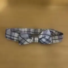 Item thumbnail for item 2c4f5348-338a-43cd-9147-333fa74f7039