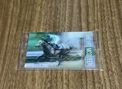 サラブレッドホースコレクション第2R◆ メジロマックイーン　サイン入り