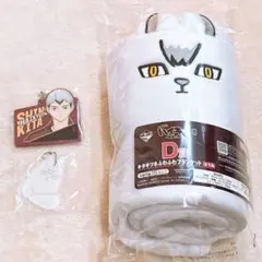 【3点セット】ハイキュー!! 一番くじ 最強の挑戦者 北信介