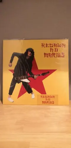 毛皮のマリーズ 戦争をしよう レコード ドレスコーズ 毛皮のマリーズ / 戦争をしよう [LP - JRSP-003]：JAPANESE：アナログ