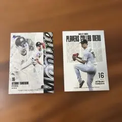 千葉ロッテマリーンズ トレカ　カード　16 種市篤暉