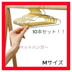 Item thumbnail for item 7da84155-fa21-4851-a538-8653ecb2b5ae