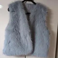 2025年最新】 フォックスファー ベストの人気アイテム - メルカリ