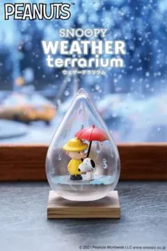 PEANUTS SNOOPY WEATHER terrarium