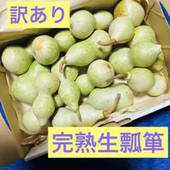 完熟生ひょうたん　加工用　15個　④