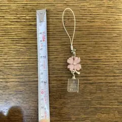 Item thumbnail for item 1f51fc9e-67d7-4060-a2c6-05ed4d6680c8