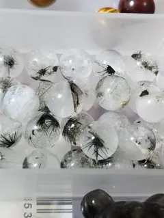 そう様　ご専用です