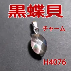 H4076【天然貝】ブラック シェル(黒蝶貝) ペンダントトップ チャーム