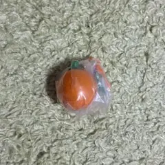 どうぶつの森 フルーツキーホルダーコレクション オレンジ　新品