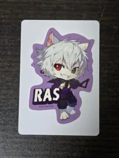 Crazy Raccoon　グミ　ステッカー