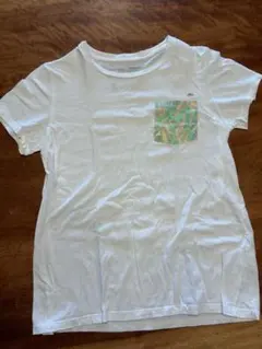 パタゴニア オーガニックコットン　Tシャツ　白　XSのサムネイル